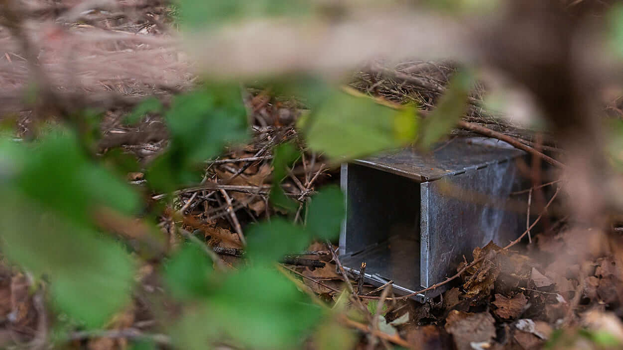 Fotoarmadilhagem Fotoarmadilhagem
