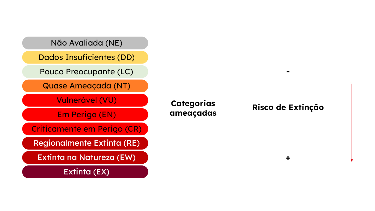 Imagem-interior-grafico